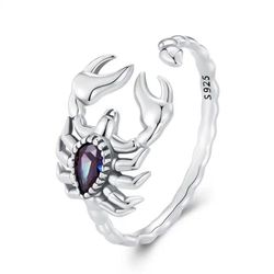 Stříbrný nastavitelný prsten ŠTÍR 823