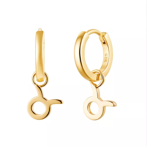 Stříbrné náušnice BÝK GOLD 9588