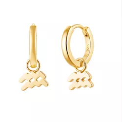 Stříbrné náušnice VODNÁŘ GOLD 9597