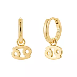 Stříbrné náušnice RAK GOLD 9590